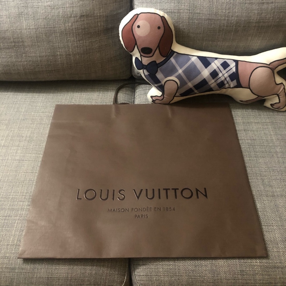 Authentic Louis Vuitton shopping bag